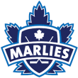 marlies