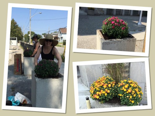 Volunteers and Plants